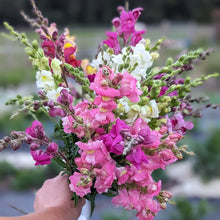 Load image into Gallery viewer, Seasonal Hand-tied Bouquet
