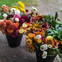 Load image into Gallery viewer, Arranger's Buckets