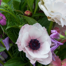 Load image into Gallery viewer, Seasonal Hand-tied Bouquet